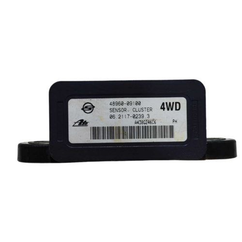 Modulo Sensor Cluster Ssangyong Kyron 2009/2012 4896009100