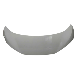 CAPO BYD MINI DOLPHIN MINI 2024 2025 DETALHE